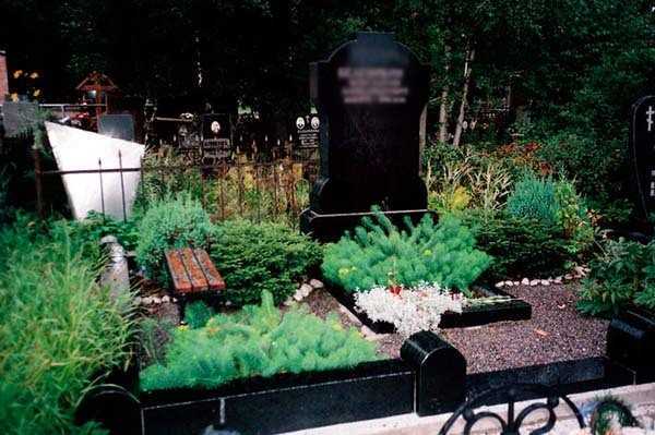 Какие цветы посадить на кладбище, чтобы они цвели все лето