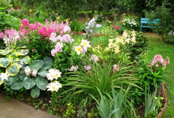 Тенелюбивые и теневыносливые растения для сада: многолетние цветы и кустарники