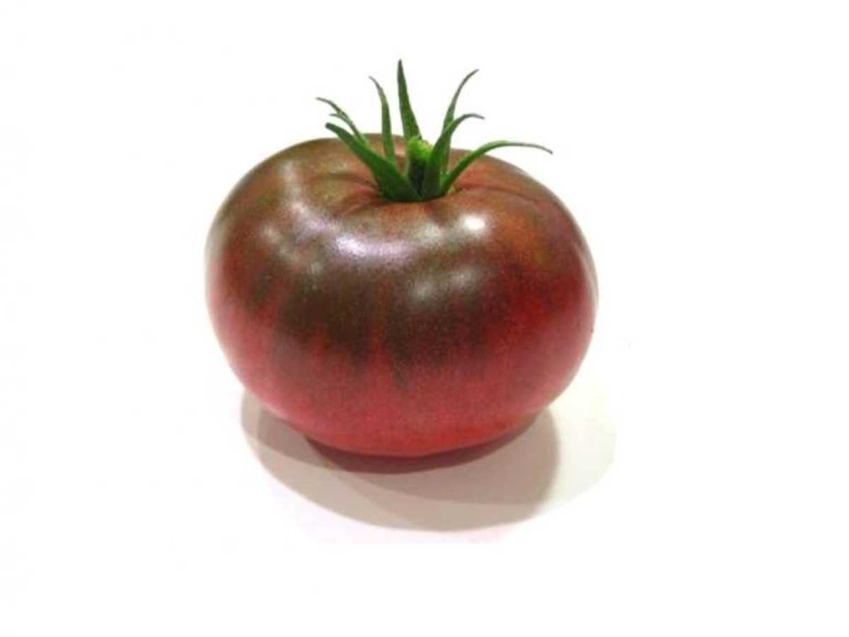 Инструкция по выращиванию рассады томатов