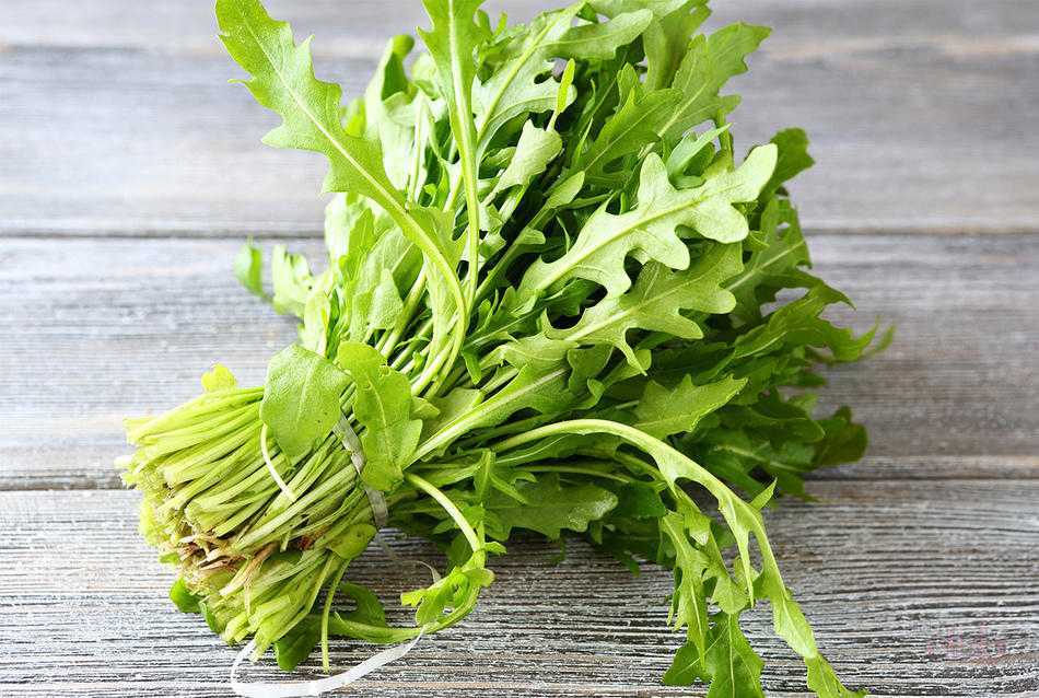 Травянистое однолетнее растение руккола (Eruca sativa), либо индау, либо горчичная трава, либо рокет-салат, либо гусеничник-посевной, либо аругула, либо эрука, является представителем рода Индау семейства Капустные