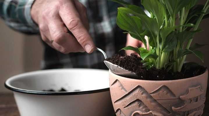Как улучшить готовый грунт для комнатных растений