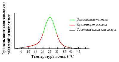 Минимальная и максимальная температура комнатных растений Как влияет температура воздуха на комнатные растения Колебания температуры и оптимальная температура
