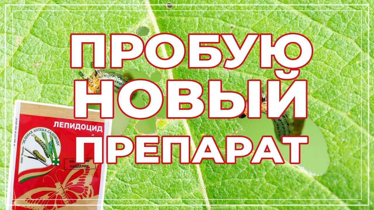 «лепидоцид» для защиты растений: состав, применение, эффективность - удобряшкин.ру