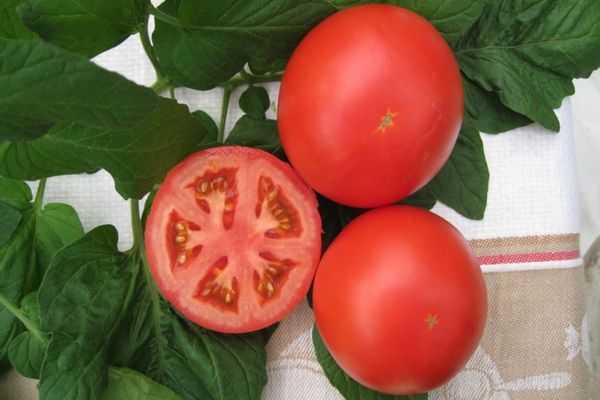 Рассада помидор в домашних условиях выращивание уход когда сажать фото видео
