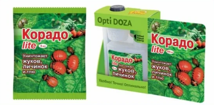 ᐉ средство «регент» для картофеля от колорадского жука - roza-zanoza.ru