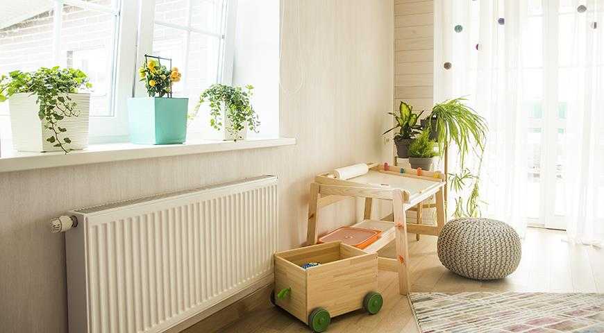 Комнатные растения для детской комнаты | во саду и в огороде