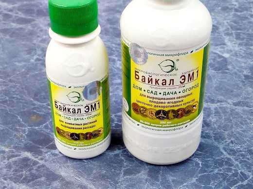 Байкал эм1 — микробиологическое удобрение, применение на огороде