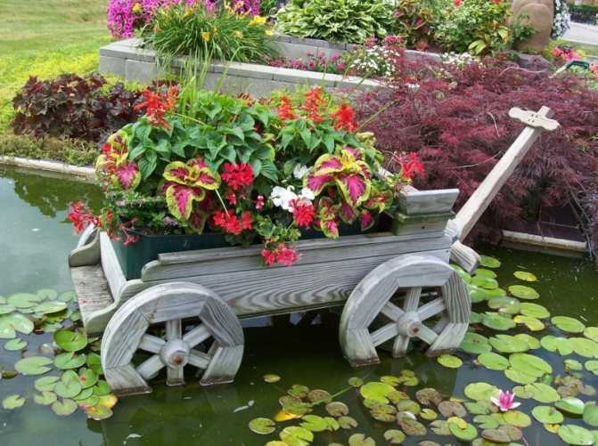 Декоративная посадка растений в саду - Проект "Цветочки" - для цветоводов начинающих и профессионалов