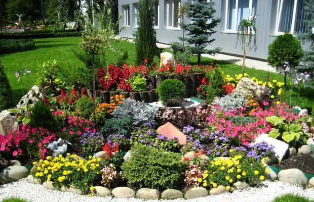 Цветы буддлея украсят любой сад - от посадки до срезки - Проект "Цветочки" - для цветоводов начинающих и профессионалов