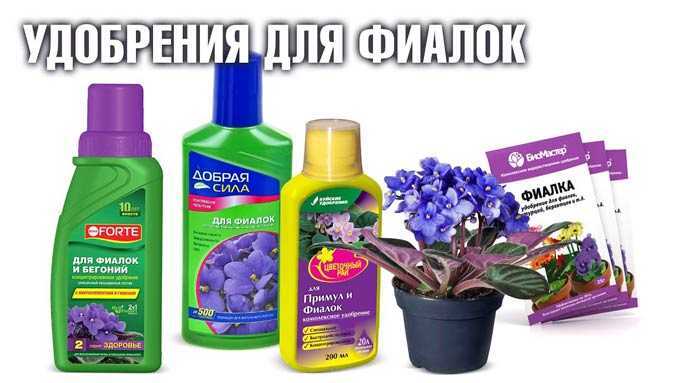 Удобрения для цветов комнатных и садовых