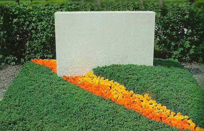 Выбор неприхотливых цветов многолетников для посадки на кладбище