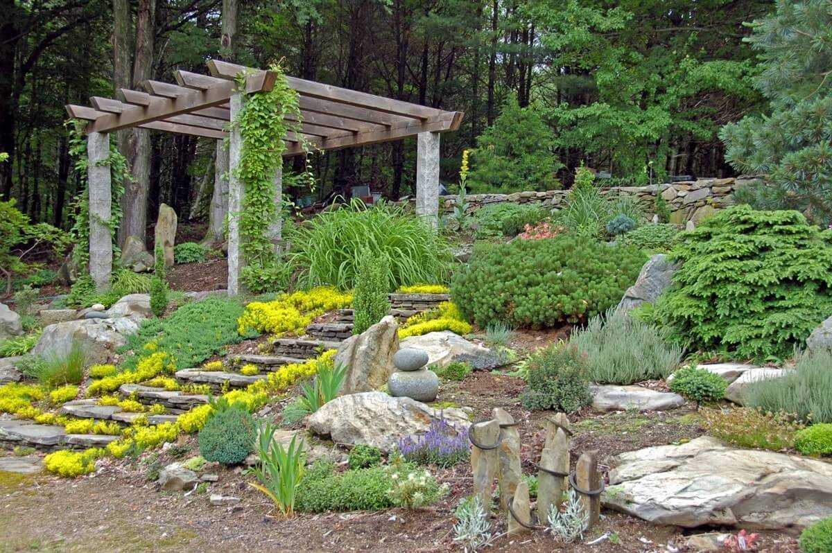 Декоративные деревья для сада: выбор красивоцветущих садовых культур, посадка и уход за растениями