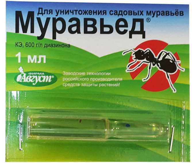 О применении средства муравьед: инструкция по применению против муравьев