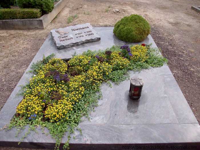 Какие цветы лучше посадить на кладбище, чтобы они украсили могилу
