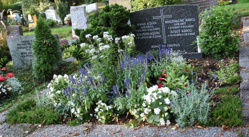 Многолетние цветы для кладбища не требующие ухода
