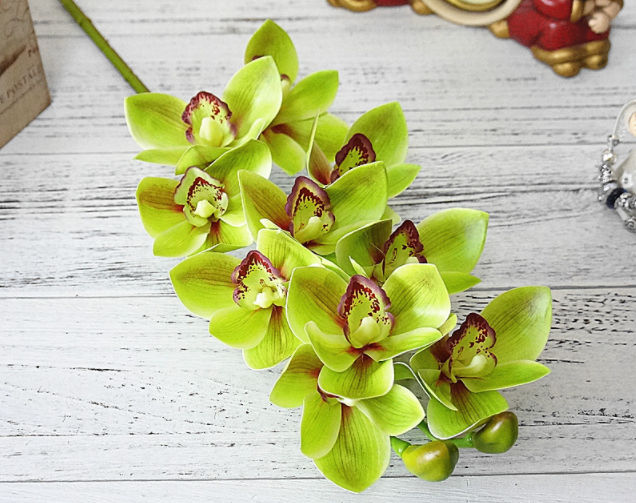 Растение с длинным цветоносом и крупными цветами орхидея цимбидиум: уход в домашних условиях, полив и влажность воздуха, освещение и другие аспекты выращивания