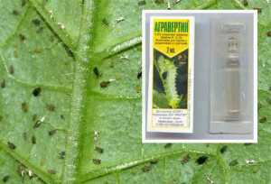 Агравертин - препарат от вредных насекомых Может ли он защитить растения и не навредить здоровью Почему из всего многообразия средств нужно выбрать именно