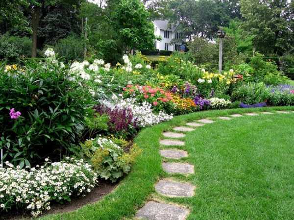 Лучшие сорта княжиков - сад и огород