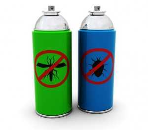 Виды инсектицидов - препаратов для защиты растений, используемых в рамках борьбы с насекомыми