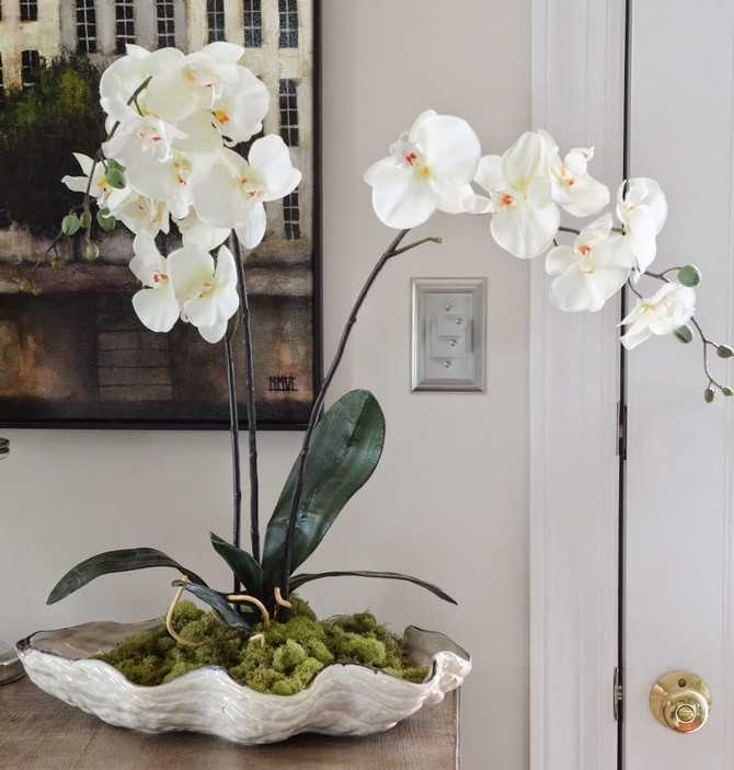 Подарили орхидею в горшке: как за ней ухаживать и что с ней делать дальше в домашних условиях? что значит подаренная мне орхидея?