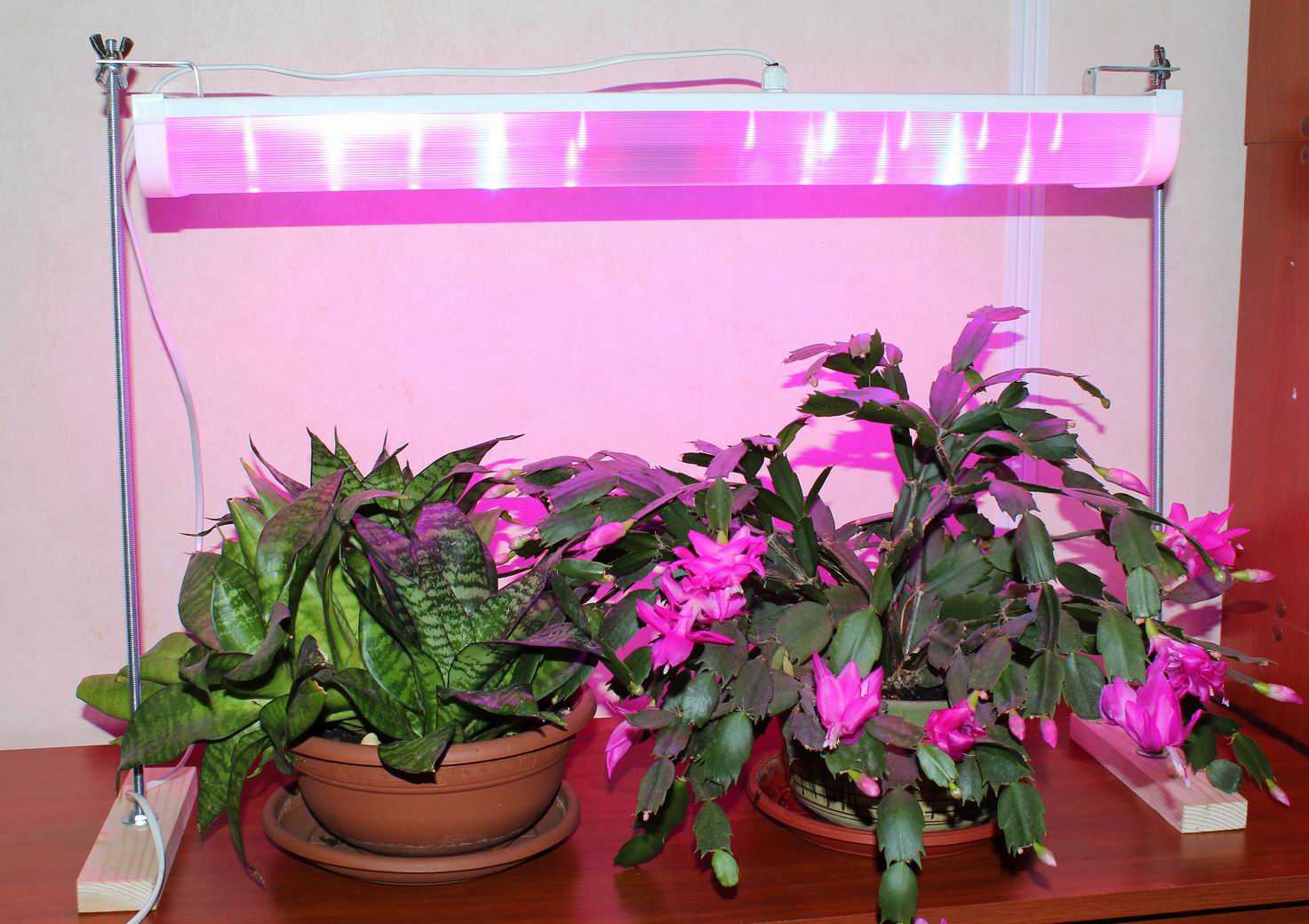 Подсветка для комнатных для растений