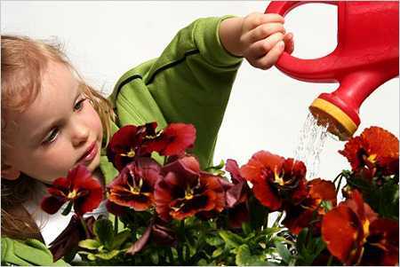 Топ-5 растений для украшения детской комнаты