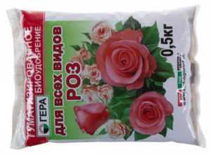 Секреты успешного выращивания плетистой розы розариум ютерсен: фото и отзывы