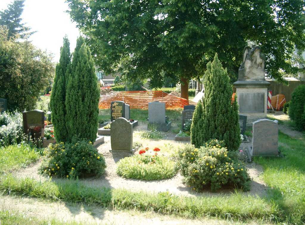 Какие цветы можно посадить на кладбище, многолетние: с фото и названием