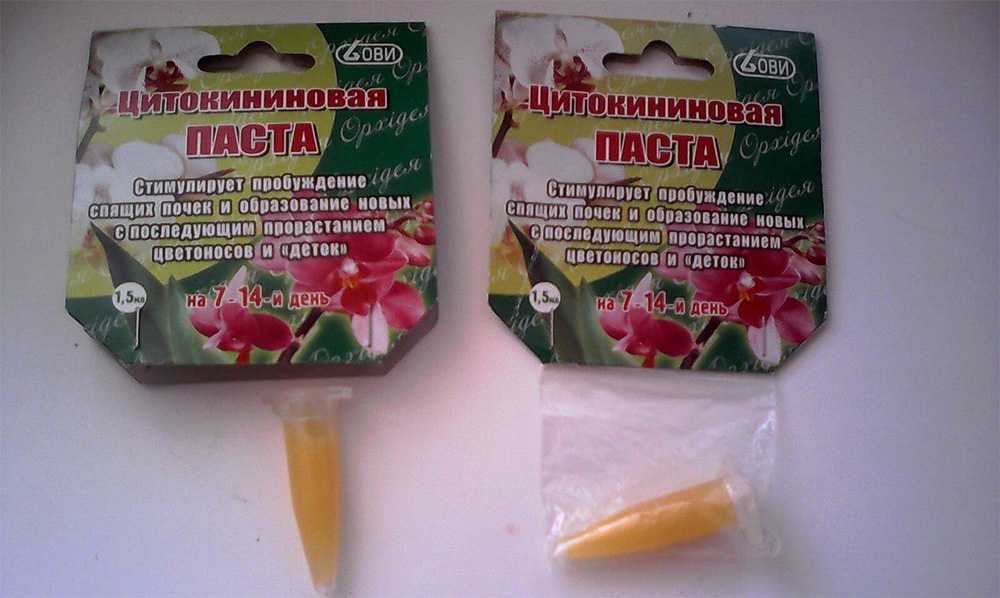 Цитокининовая паста — как использовать для орхидей