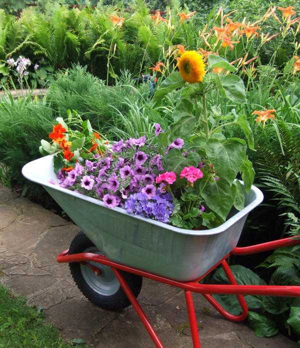 Контейнерный сад: цветы для сада в контейнерах, идеи посадки растений в цветочные конвейеры