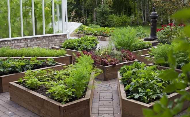 Планирование сада и огорода на участке: примеры и советы - Проект "Цветочки" - для цветоводов начинающих и профессионалов