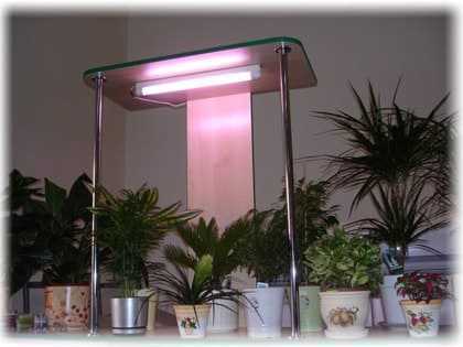 Искусственное освещение для комнатных растений: изготовление своими руками