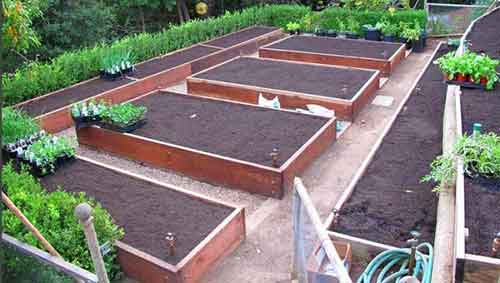 Планирование сада и огорода на участке: примеры и советы - Проект "Цветочки" - для цветоводов начинающих и профессионалов