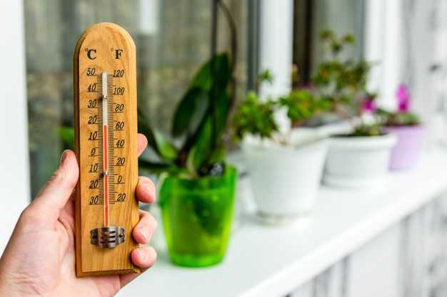 Температура для комнатных растений